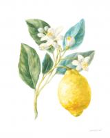 Floursack Lemon I on White #45787