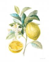 Floursack Lemon III on White #45789