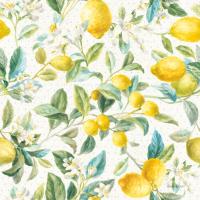 Floursack Lemon Pattern IA #45792