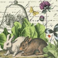 Garden Rabbit II #45822