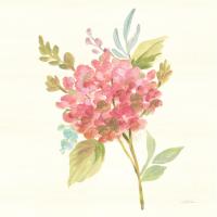 Petals and Blossoms VII #46119