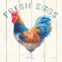 Fresh Eggs Hen #46169