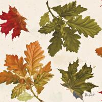 Fall Garden Step 04A #46308 Fall Garden Step 04A #46308