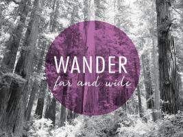 Wander Far and Wide v2 #46393 Wander Far and Wide v2 #46393