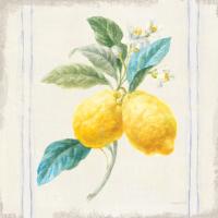 Floursack Lemons III Sq Navy #46396