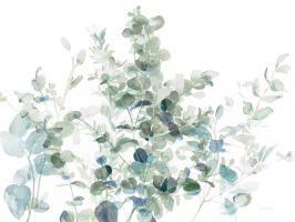 Eucalyptus I Cool #46406 Eucalyptus I Cool #46406