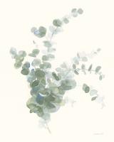 Scented Sprig II Cool #46413 Scented Sprig II Cool #46413
