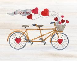 Rustic Valentine Bicycle #46665