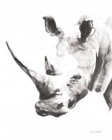 Rhino Gray Crop #46687