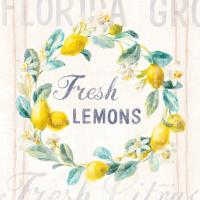 Floursack Lemon V Bright #46701
