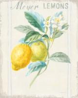Floursack Lemon II v2 #46744