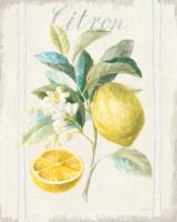 Floursack Lemon IV v2 #46746 Floursack Lemon IV v2 #46746