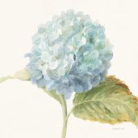 Floursack Florals V - Blue Hydrangea Crop #46926