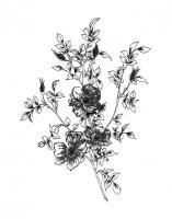 Sketchbook Flowers on White II #46978