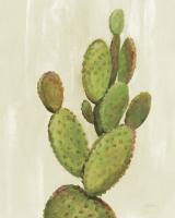 Front Yard Cactus I #47320 Front Yard Cactus I #47320