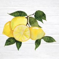 Citrus Garden VI Shiplap #47406