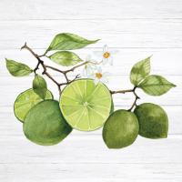 Citrus Garden VII Shiplap #47407 Citrus Garden VII Shiplap #47407