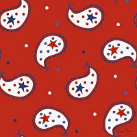 America the Beautiful Pattern I B #47544 America the Beautiful Pattern I B #47544