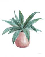 Mixed Greens Succulent I #47779 Mixed Greens Succulent I #47779