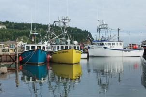 Bay of Fundy II #47838 Bay of Fundy II #47838