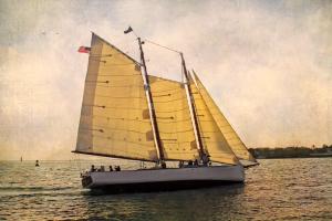Morning Sail #47842 Morning Sail #47842