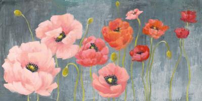 Poppy Party #47859 Poppy Party #47859