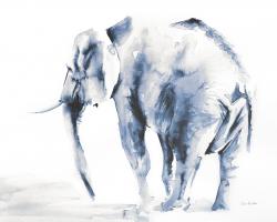 Lone Elephant Blue Gray Crop #47941-20x16 Lone Elephant Blue Gray Crop #47941-20x16