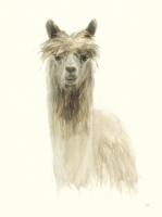 Classic Llamas I #48050 Classic Llamas I #48050