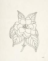 Gardenia Line Drawing #48098