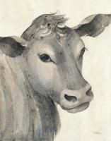 Moo Brown Crop #48162-11x14