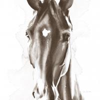 Le Cheval Noir Brown Crop #48164-18x18 Le Cheval Noir Brown Crop #48164-18x18