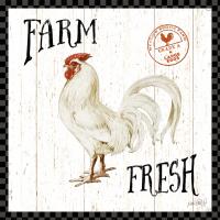 Free Range Fresh III Checker Border #48173-12x12