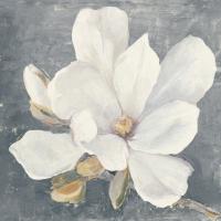 Serene Magnolia Gray #48464-18x18