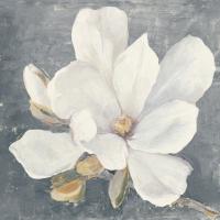 Serene Magnolia Gray #48464-18x18 Serene Magnolia Gray #48464-18x18