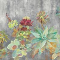 Succulent Garden Gray Crop #48478-18x18 Succulent Garden Gray Crop #48478-18x18