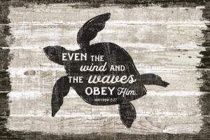 Driftwood Coast Scripture III #48734 Driftwood Coast Scripture III #48734
