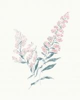 Flowers on White I Contemporary Bright #48800 Flowers on White I Contemporary Bright #48800