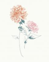 Flowers on White IV Contemporary Bright #48802 Flowers on White IV Contemporary Bright #48802