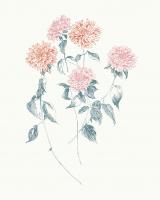 Flowers on White VI Contemporary Bright #48804 Flowers on White VI Contemporary Bright #48804