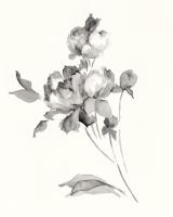Peony Blossoms Gray #48856