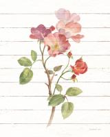 Sprigs of Summer I #49037 Sprigs of Summer I #49037