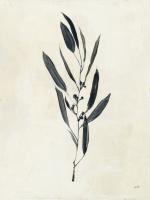 Botanical Study I Crop #49719-12x16 Botanical Study I Crop #49719-12x16