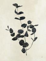 Botanical Study II Crop #49720-12x16 Botanical Study II Crop #49720-12x16