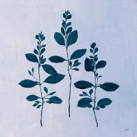 Botanical Study IV Blue #49724 Botanical Study IV Blue #49724