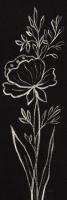 Black Floral III Crop #49792