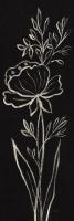Black Floral III Crop #49792 Black Floral III Crop #49792
