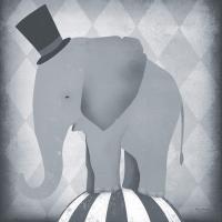 Circus Elephant Gray #49896
