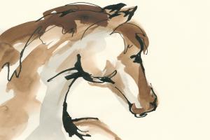 Horse Head I #49929 Horse Head I #49929