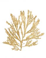 Pacific Sea Mosses I Gold #49984-11x14