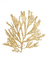 Pacific Sea Mosses I Gold #49984-11x14 Pacific Sea Mosses I Gold #49984-11x14